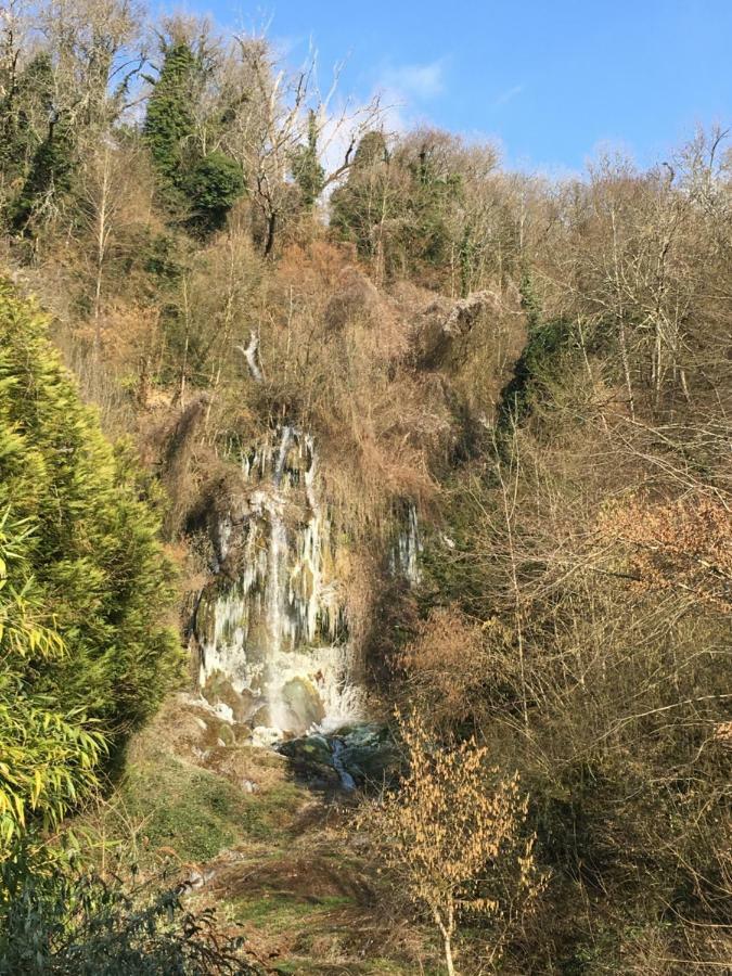Chambres D'Hotes Des Lodges De La Cascade Yenne エクステリア 写真